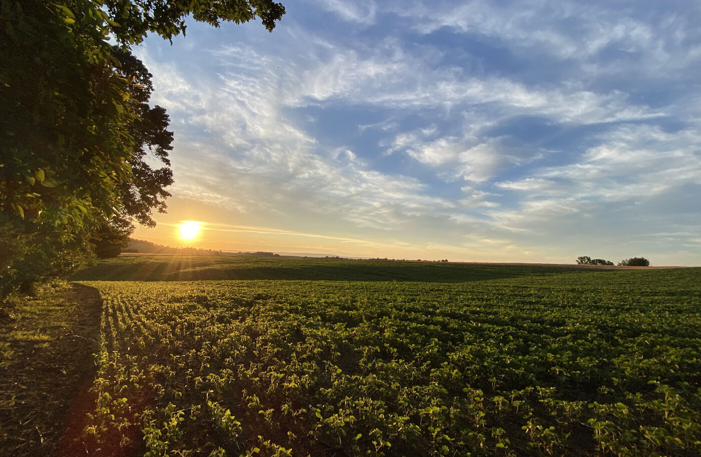 PA farmland at sunset